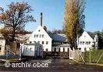 sluby
