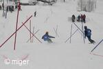 Dualsnow