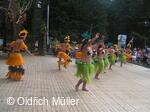 Mezinárodní folklorní festival Liptálské slavnosti