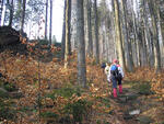 Hodslavice