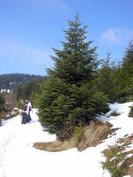 Hodslavice
