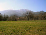 Hodslavice