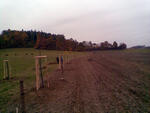 Hodslavice alej - od pole