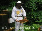 Medobraní u Perníkové chaloupky 2007