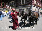 Setkání Jeníčků a Mařenek 2005 - král Jan Lucemburský