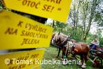 Sousedské slavnosti 2008