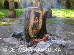 Perníkiáda s VŘSR 2006