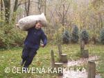 Perníkiáda s VŘSR 2008