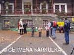 Perníkiáda s VŘSR 2008