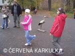 Perníkiáda s VŘSR 2008
