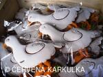 Království perníku 2009 - 1.světová výstava perníkového zvířectva
