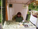 Sousedské slavnosti 2010