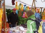 Sousedské slavnosti 2010