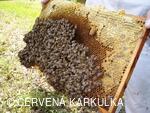 Medobraní a Den dětí 2010
