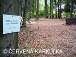 Setkání Jeníčků a Mařenek 2010 - turnaj o cenu Jana Bechera (pro dospělé)